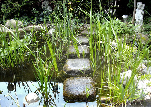 Zufallsbilder - Gartengestaltung Wieneke