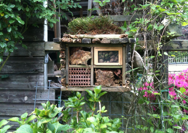 Zufallsbilder - Gartengestaltung Wieneke