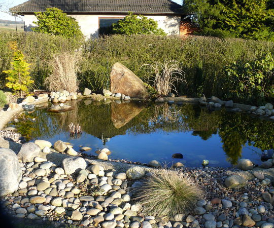 Gartengestaltung Wieneke - Göttingen - Uslar - Oberweser