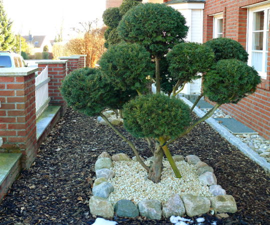 Gartengestaltung Wieneke - Göttingen - Uslar - Oberweser